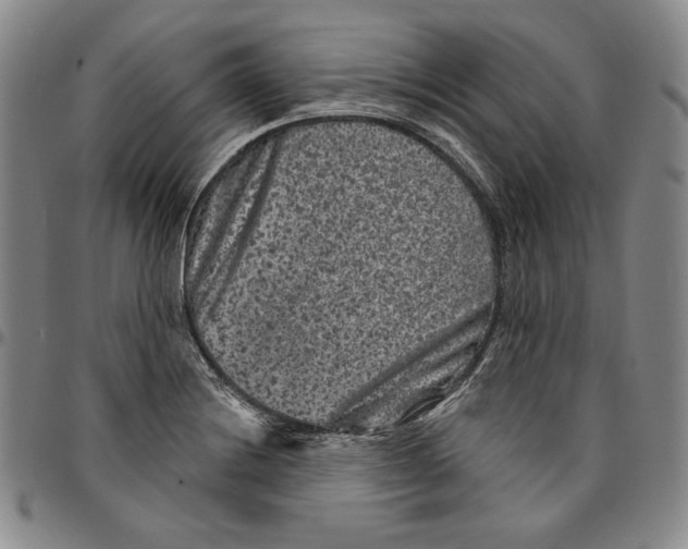 X0000094381228200711301353
