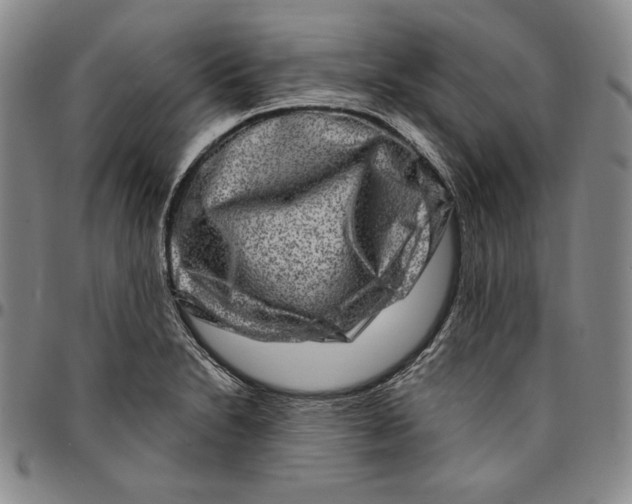 X0000094381230200711301353