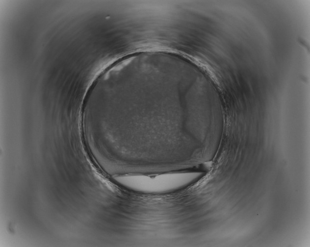 X0000094381231200711301353
