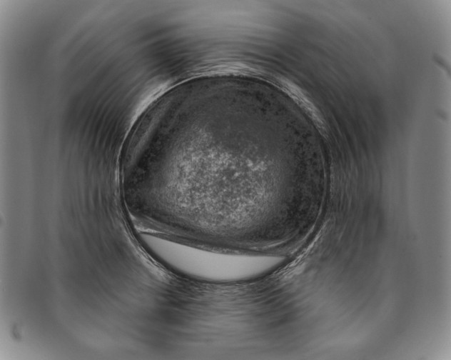 X0000094381234200711301353