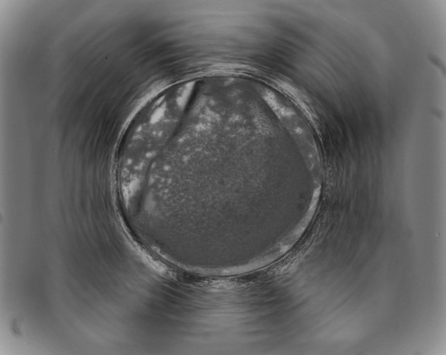 X0000094381235200711301353