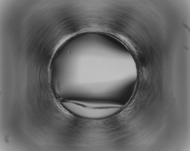 X0000094381238200711301353