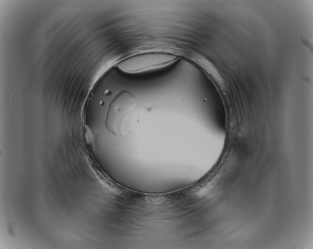 X0000094381242200711301353