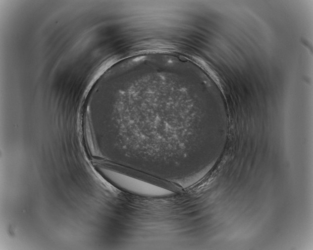 X0000094381243200711301353