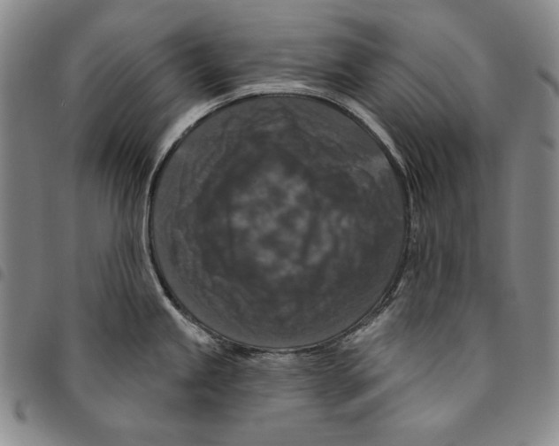 X0000094381245200711301353