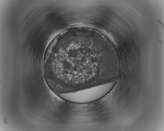 X0000094381247200711301353