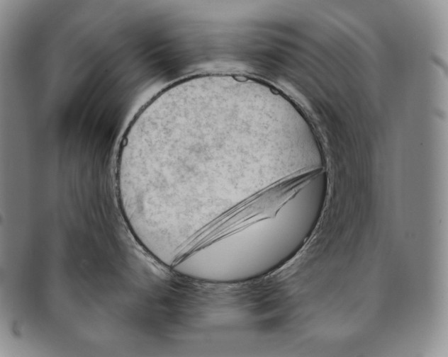 X0000094381248200711301353