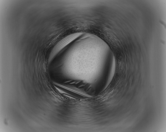 X0000094381250200711301352