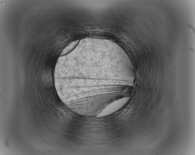 X0000094381252200711301352