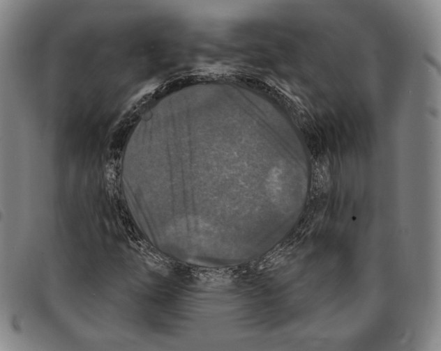X0000094381254200711301352