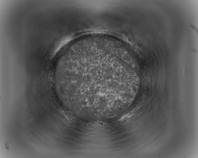X0000094381255200711301352
