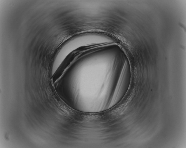 X0000094381257200711301352