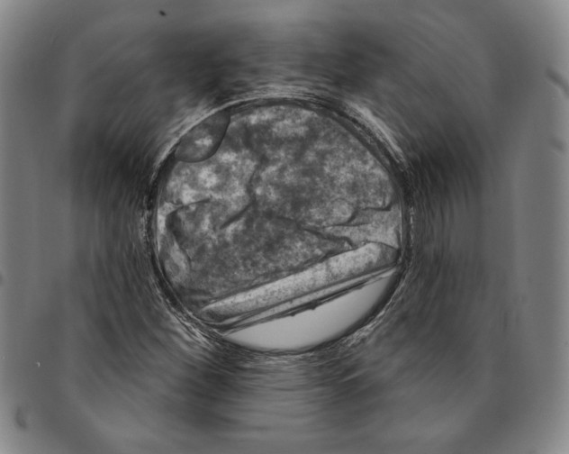 X0000094381260200711301352