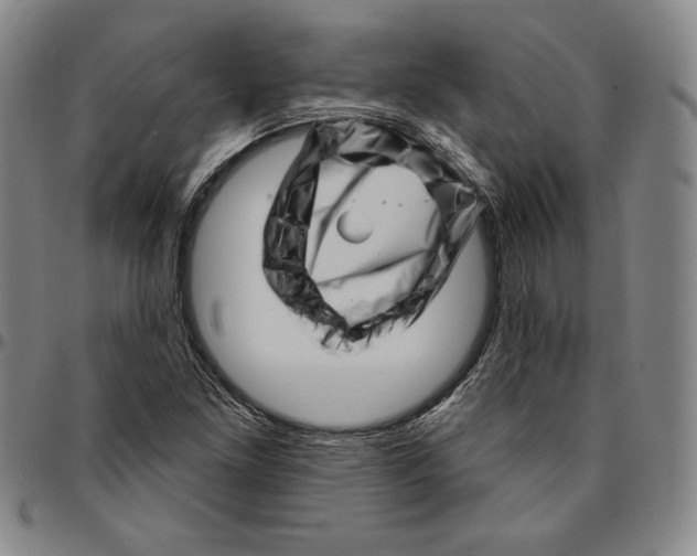 X0000094381261200711301352