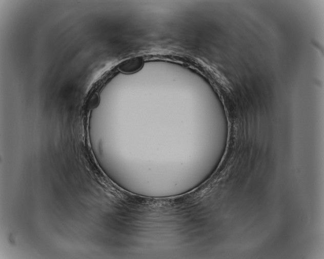 X0000094381262200711301352