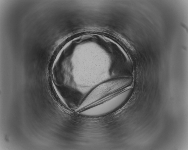X0000094381264200711301352