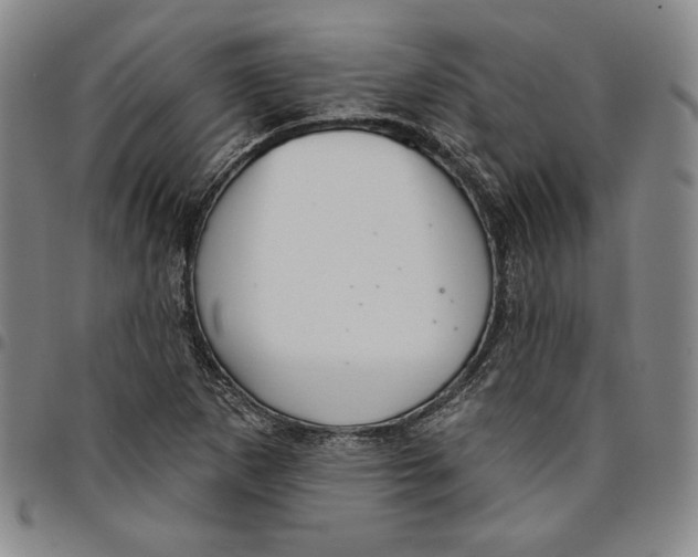 X0000094381265200711301352