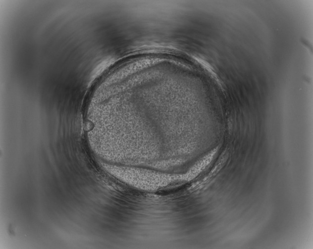 X0000094381267200711301352