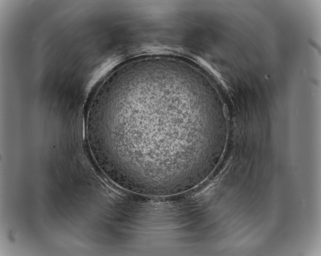 X0000094381269200711301352