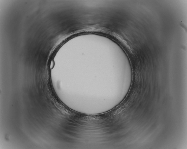 X0000094381270200711301352