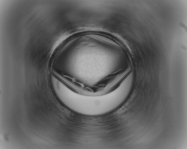 X0000094381271200711301352