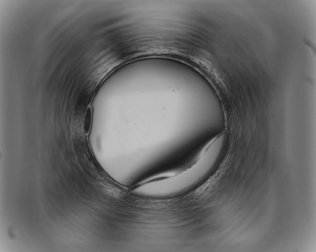X0000094381273200711301352
