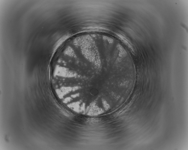 X0000094381275200711301352