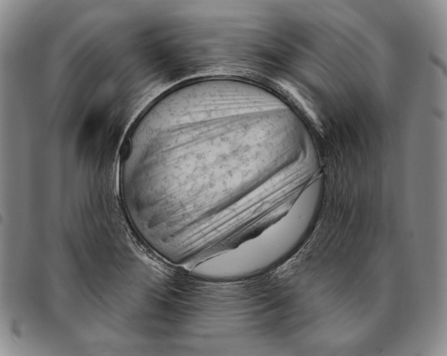 X0000094381276200711301352