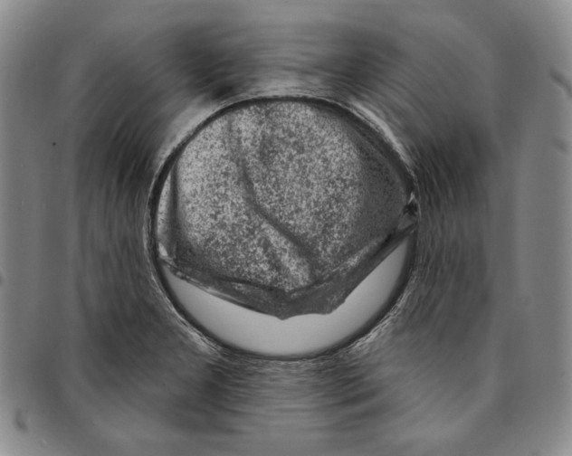 X0000094381277200711301352