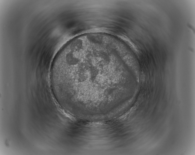 X0000094381278200711301352