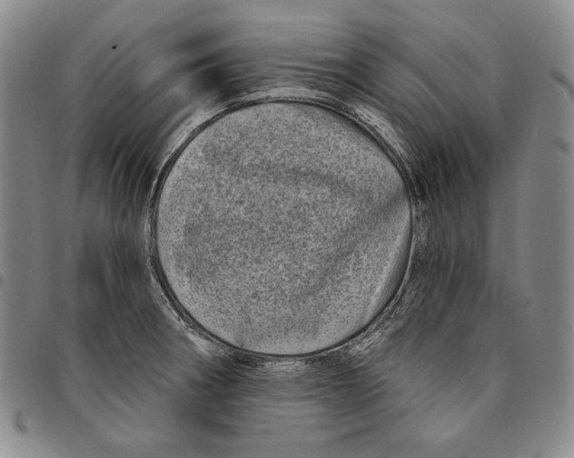 X0000094381282200711301352