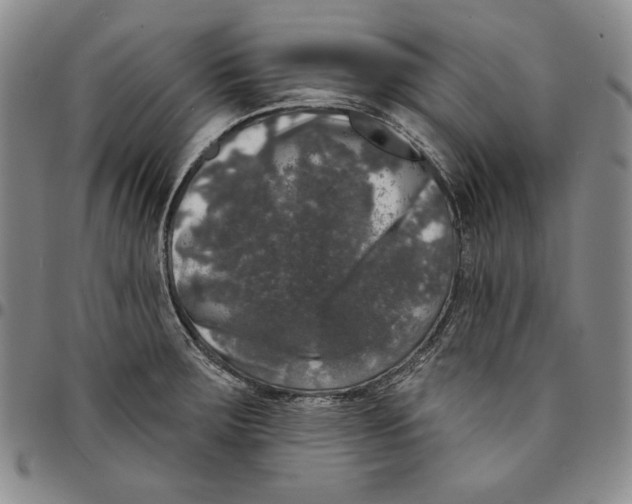 X0000094381283200711301352