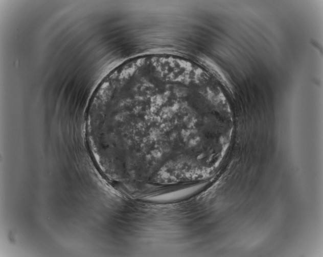 X0000094381284200711301352