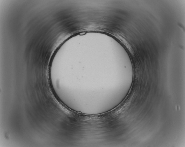 X0000094381285200711301352