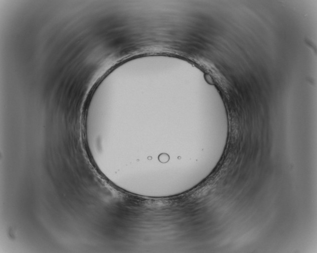 X0000094381286200711301352
