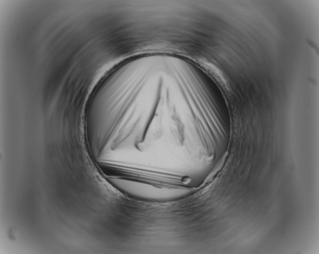 X0000094381288200711301352