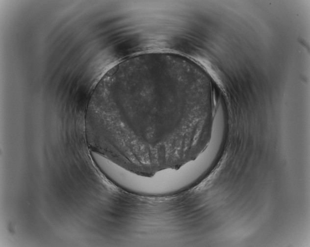 X0000094381289200711301352