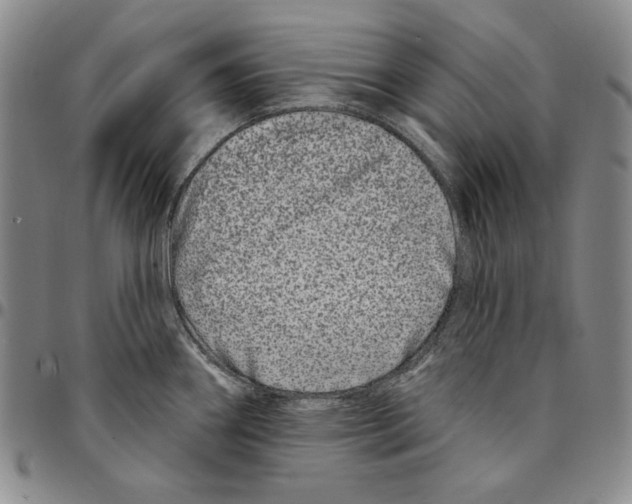 X0000094381290200711301352