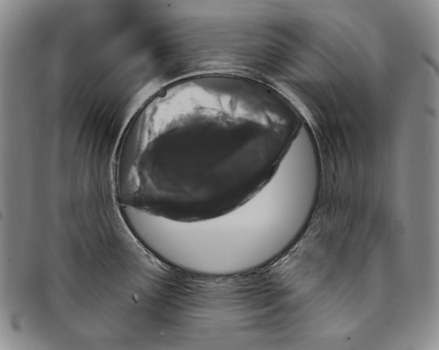X0000094381291200711301352