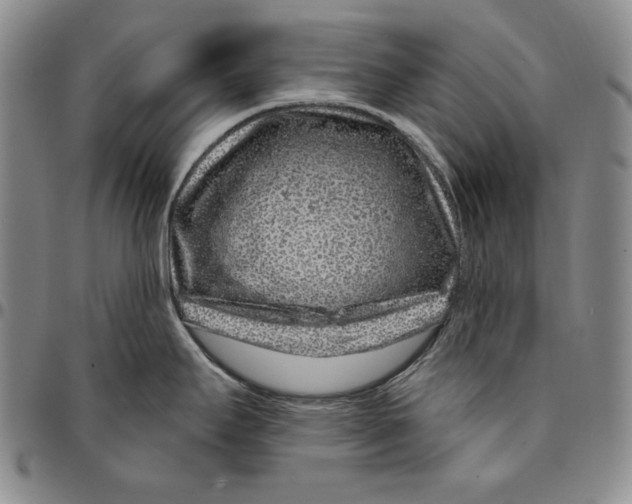 X0000094381295200711301352