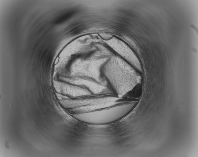 X0000094381296200711301352