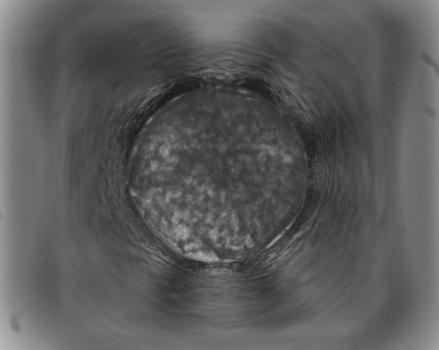 X0000094381297200711301351