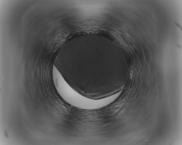 X0000094381298200711301351