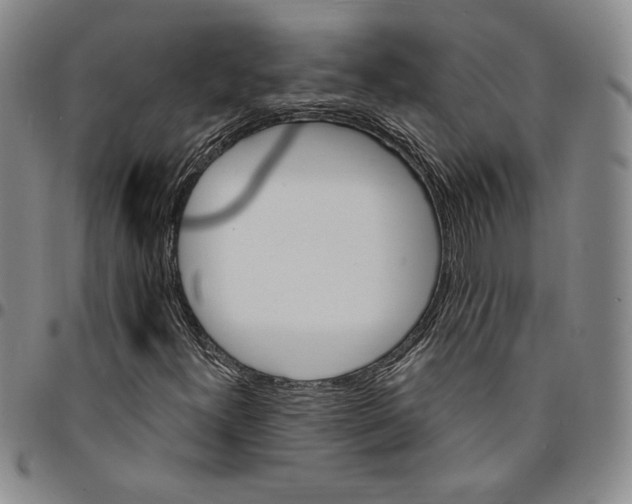 X0000094381300200711301351