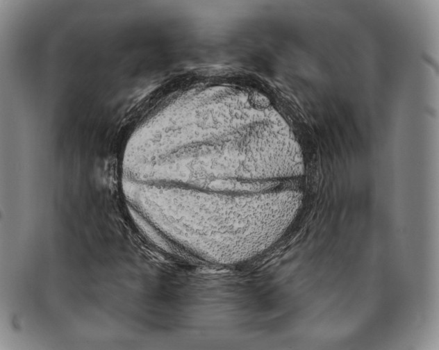 X0000094381301200711301351