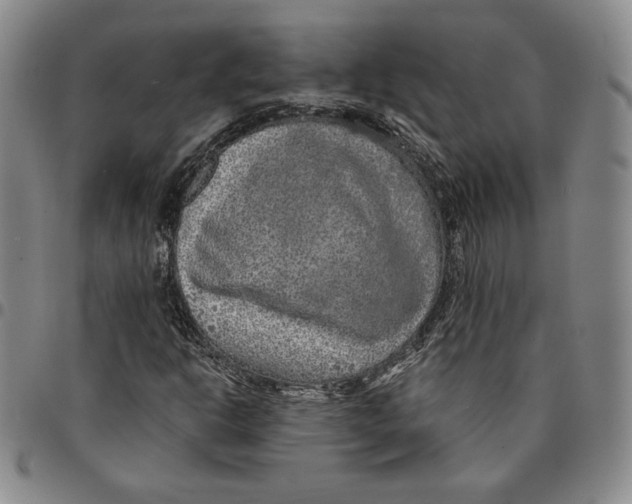 X0000094381302200711301351