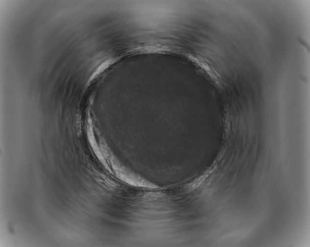 X0000094381306200711301351