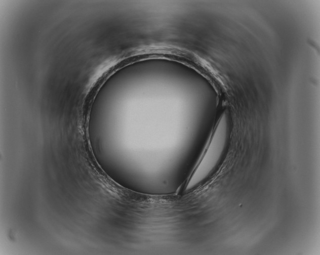 X0000094381312200711301351