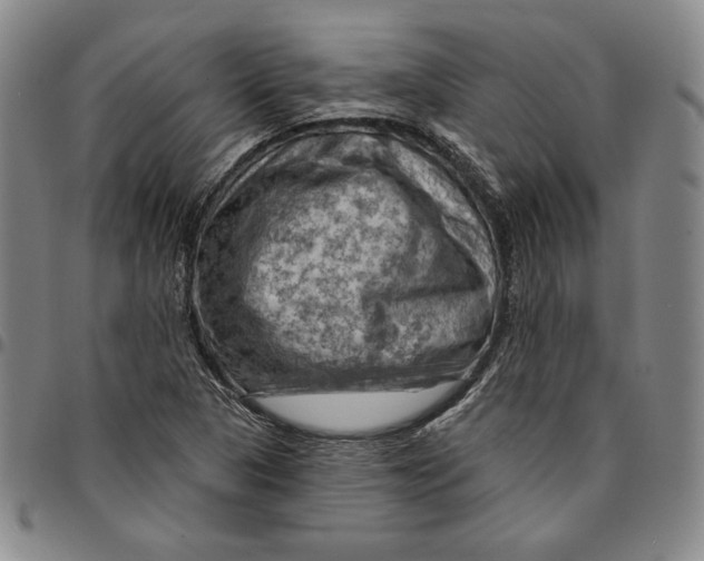 X0000094381313200711301351