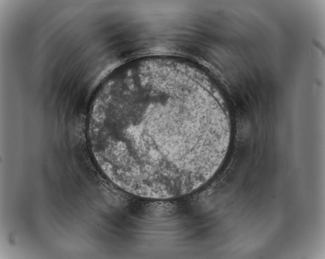 X0000094381314200711301351